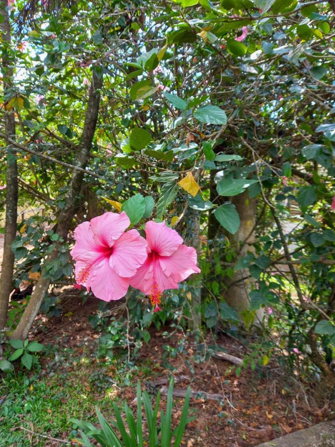 Pousada Rancho Alegre Campestre Exterior foto